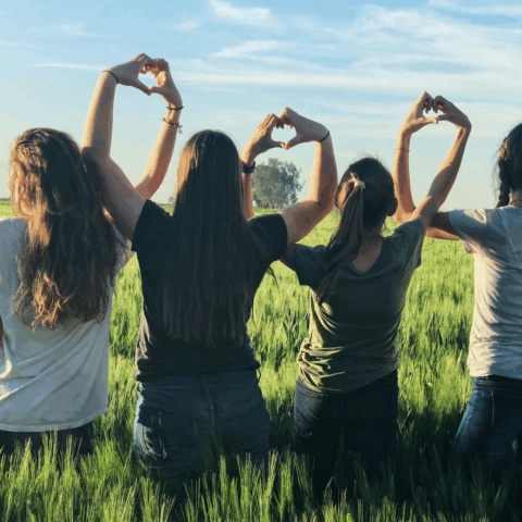 Fyra personer står med ryggen mot kameran i ett grönt, böljande fält och formar hjärtan med händerna mot en ljusblå himmel i kvällssol.