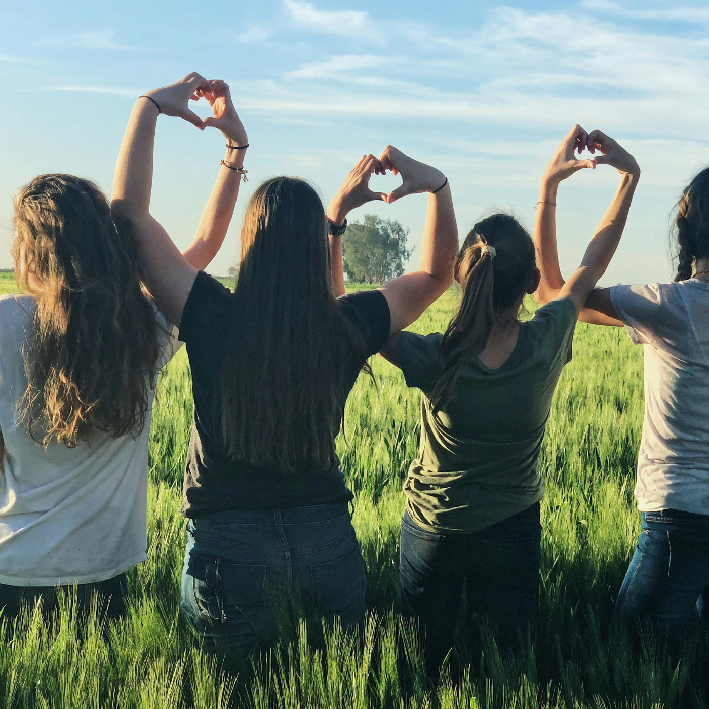 Fyra personer står med ryggen mot kameran i ett grönt, böljande fält och formar hjärtan med händerna mot en ljusblå himmel i kvällssol.
